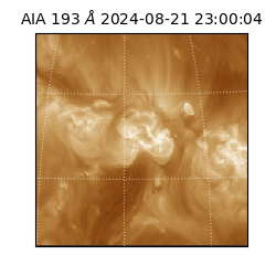 saia - 2024-08-21T23:00:04.843000