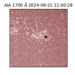 saia - 2024-08-21T11:00:28.717000