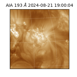 saia - 2024-08-21T19:00:04.843000