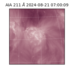 saia - 2024-08-21T07:00:09.623000