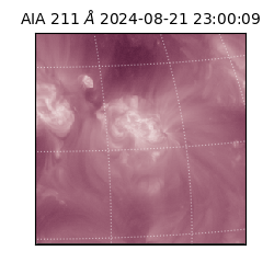 saia - 2024-08-21T23:00:09.626000