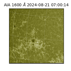 saia - 2024-08-21T07:00:14.126000