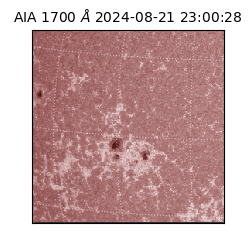 saia - 2024-08-21T23:00:28.717000
