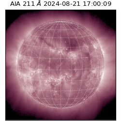 saia - 2024-08-21T17:00:09.630000