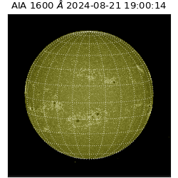 saia - 2024-08-21T19:00:14.126000