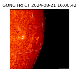 gong - 2024-08-21T16:00:42
