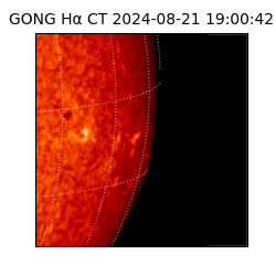 gong - 2024-08-21T19:00:42