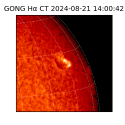 gong - 2024-08-21T14:00:42