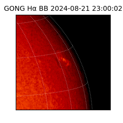 gong - 2024-08-21T23:00:02