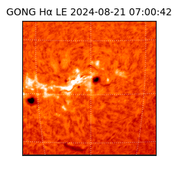 gong - 2024-08-21T07:00:42