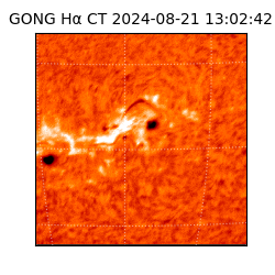 gong - 2024-08-21T13:02:42