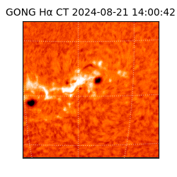 gong - 2024-08-21T14:00:42
