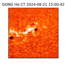 gong - 2024-08-21T15:00:42