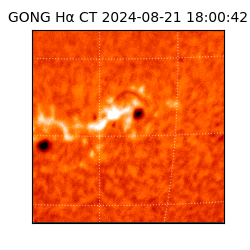 gong - 2024-08-21T18:00:42