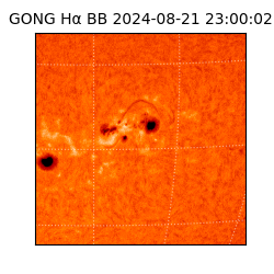 gong - 2024-08-21T23:00:02
