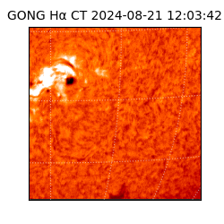 gong - 2024-08-21T12:03:42