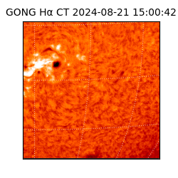 gong - 2024-08-21T15:00:42