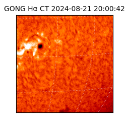 gong - 2024-08-21T20:00:42