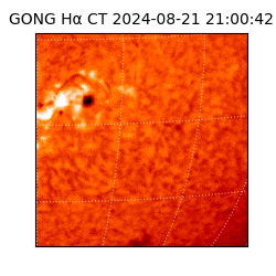 gong - 2024-08-21T21:00:42