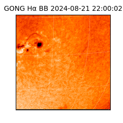gong - 2024-08-21T22:00:02