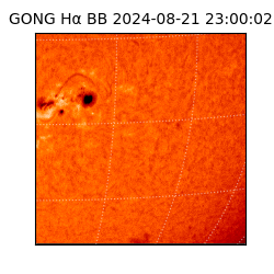 gong - 2024-08-21T23:00:02