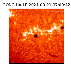 gong - 2024-08-21T07:00:42