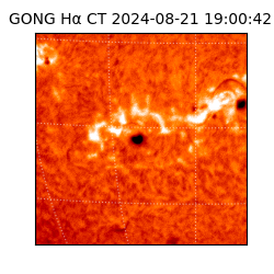 gong - 2024-08-21T19:00:42
