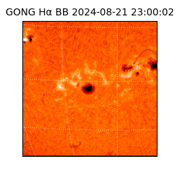 gong - 2024-08-21T23:00:02