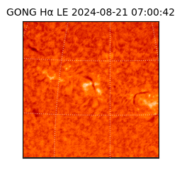 gong - 2024-08-21T07:00:42