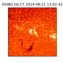 gong - 2024-08-21T13:02:42