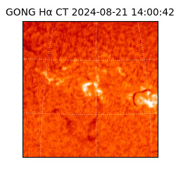 gong - 2024-08-21T14:00:42