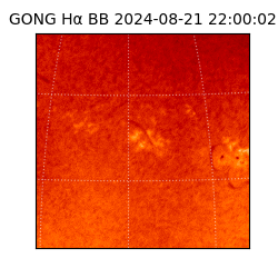 gong - 2024-08-21T22:00:02
