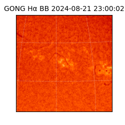 gong - 2024-08-21T23:00:02