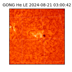 gong - 2024-08-21T03:00:42