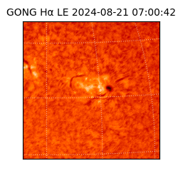 gong - 2024-08-21T07:00:42