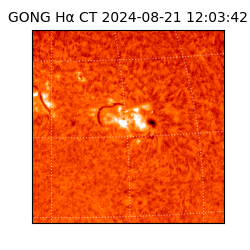 gong - 2024-08-21T12:03:42