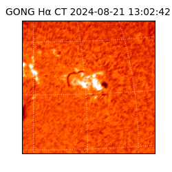 gong - 2024-08-21T13:02:42