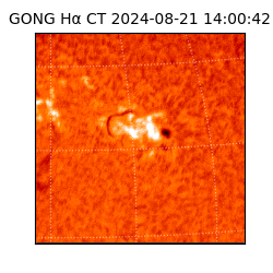 gong - 2024-08-21T14:00:42