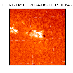 gong - 2024-08-21T19:00:42