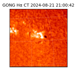 gong - 2024-08-21T21:00:42