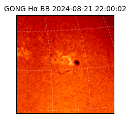 gong - 2024-08-21T22:00:02