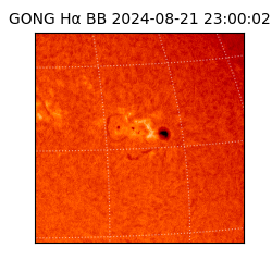 gong - 2024-08-21T23:00:02