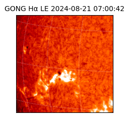 gong - 2024-08-21T07:00:42