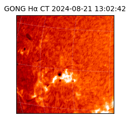 gong - 2024-08-21T13:02:42