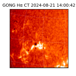 gong - 2024-08-21T14:00:42