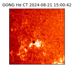 gong - 2024-08-21T15:00:42