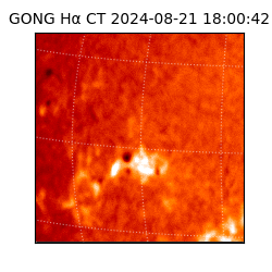 gong - 2024-08-21T18:00:42