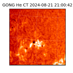 gong - 2024-08-21T21:00:42