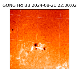 gong - 2024-08-21T22:00:02