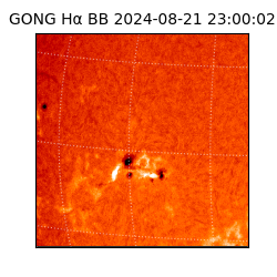 gong - 2024-08-21T23:00:02